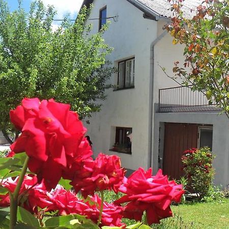 Guest House Olbina Korenica Exterior foto