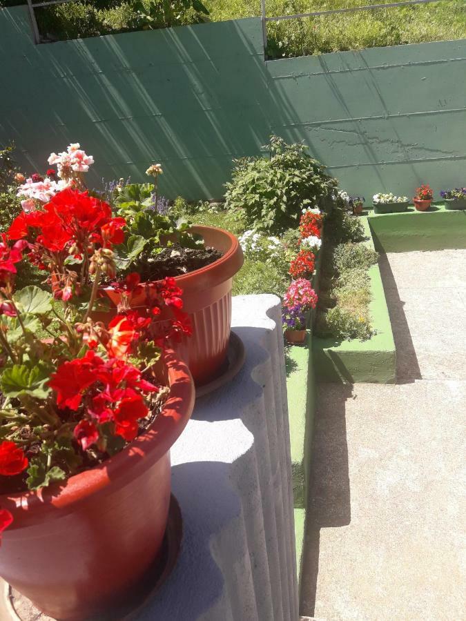 Guest House Olbina Korenica Exterior foto